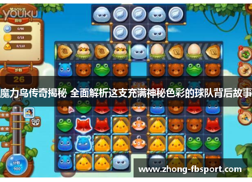 魔力鸟传奇揭秘 全面解析这支充满神秘色彩的球队背后故事
