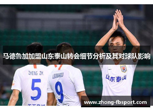 马德鲁加加盟山东泰山转会细节分析及其对球队影响 马德鲁加加盟山东泰山转会细节分析及其对球队影响